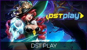 Provider arcade Dst Play